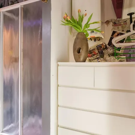 Zamboni House Deluxe